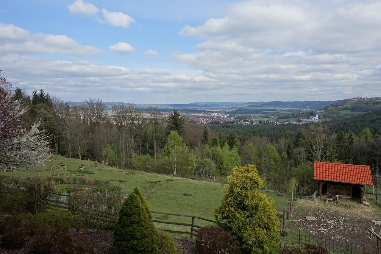 Hotel Gasthof Schoenblick Neumarkt in der Oberpfalz Esterno foto